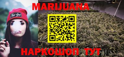 стаф Можга