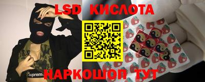 стаф Можга