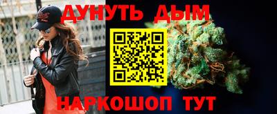 стаф Моздок
