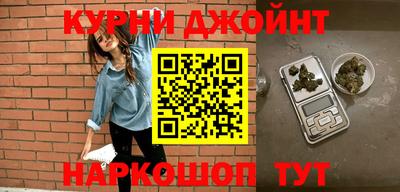 стаф Можга