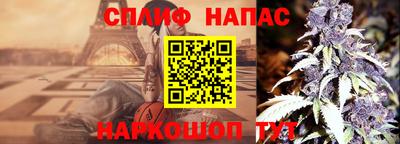 стаф Моздок