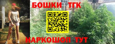 стаф Моздок