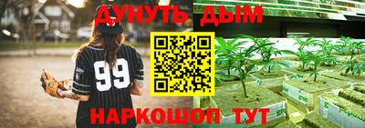 стаф Можга