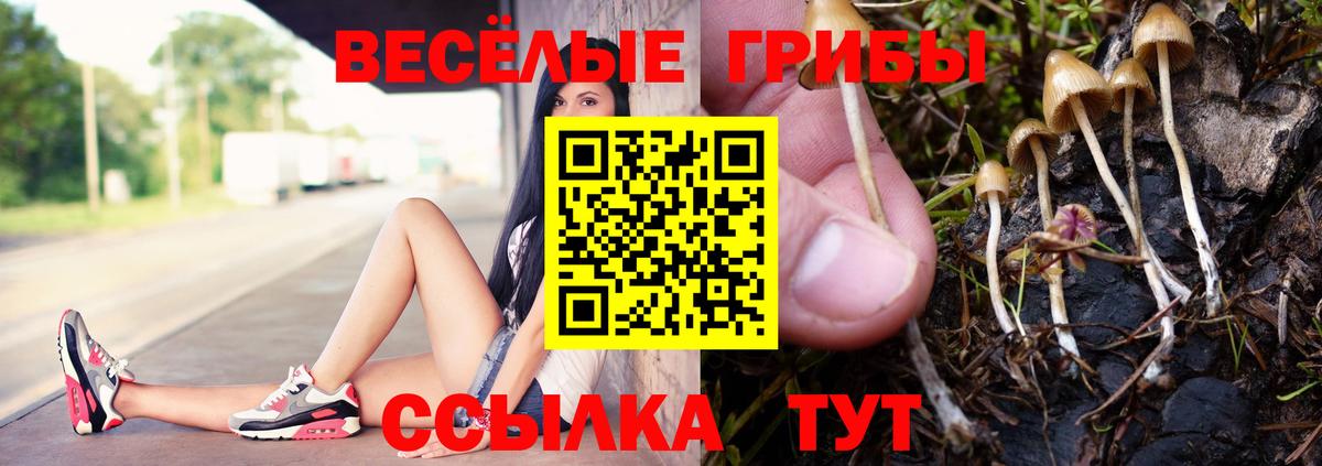 Галлюциногенные грибы ЛСД  Вход с VPN  наркота  Якутск 